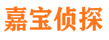 长海市调查公司